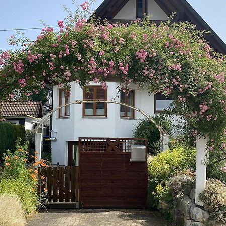 Appartement Dalea à Bad Waldsee Extérieur photo