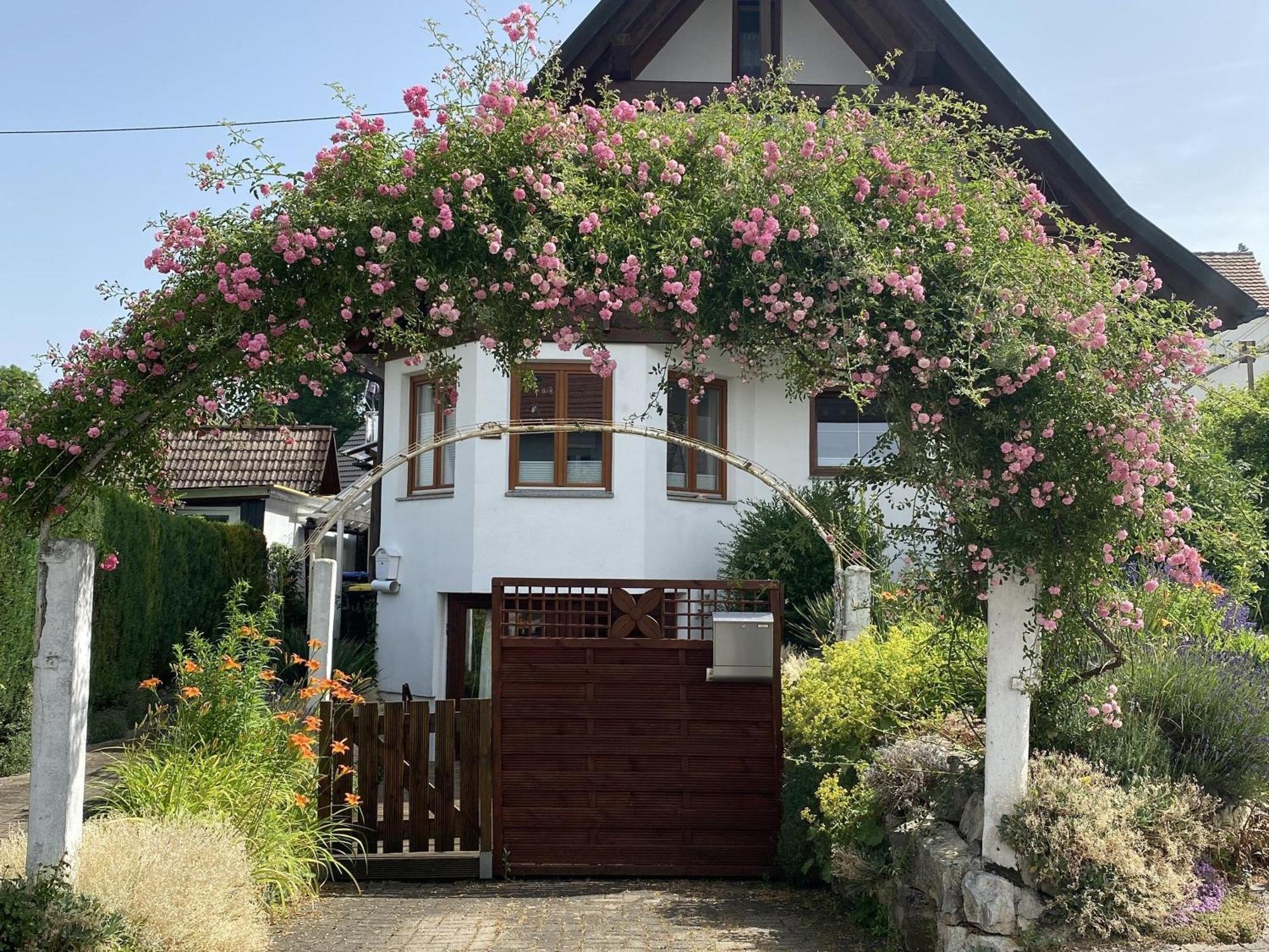Appartement Dalea à Bad Waldsee Extérieur photo